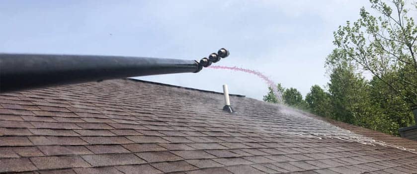 Roof Cleaning